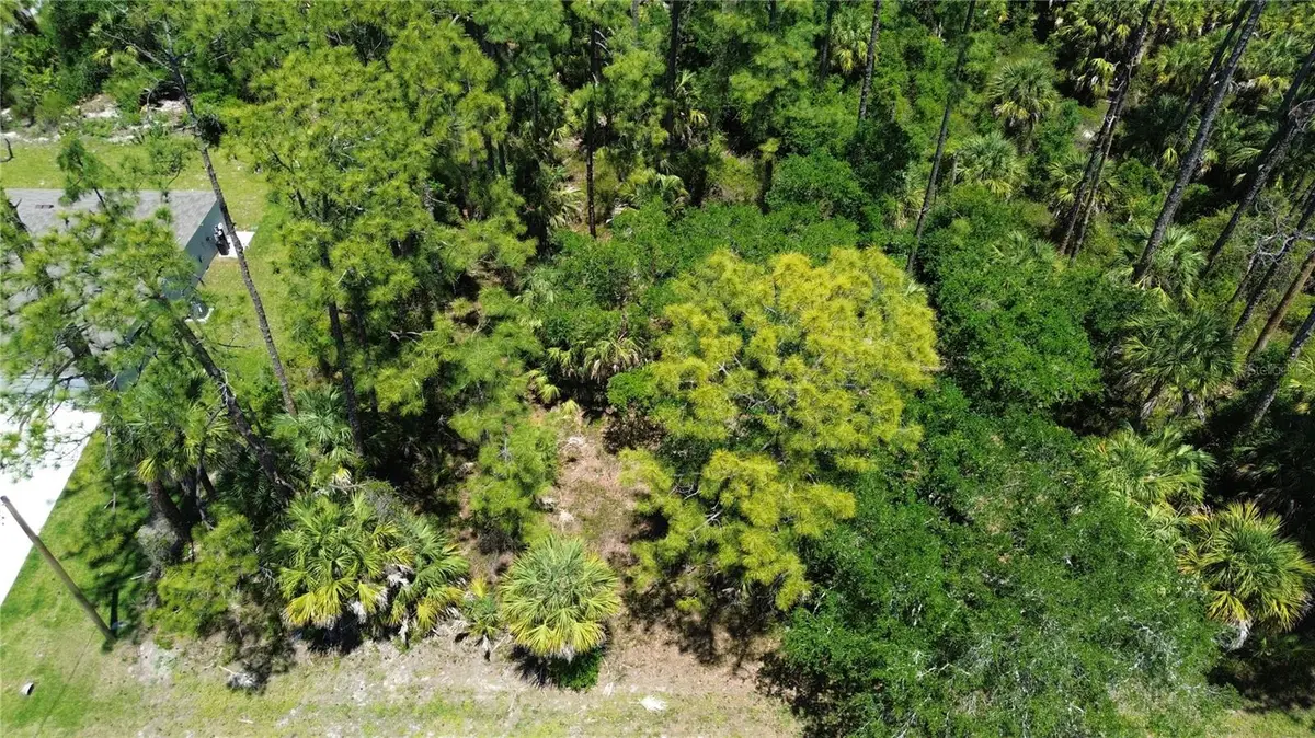 18126 Dillon Avenue, Port Charlotte, FL 33954 - #1