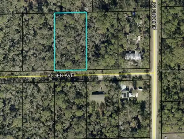 6296 Alder Avenue, BUNNELL, FL 32110