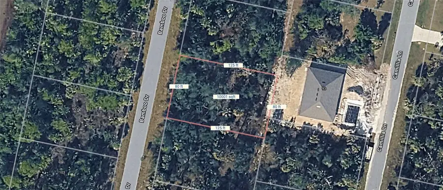 88 Bamboo Drive, Port Charlotte, FL 33954 - #3