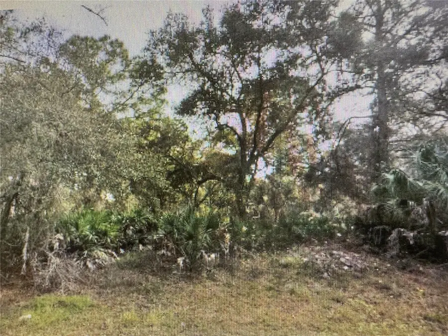 Trolley Road, North Port, FL 34291 - #2