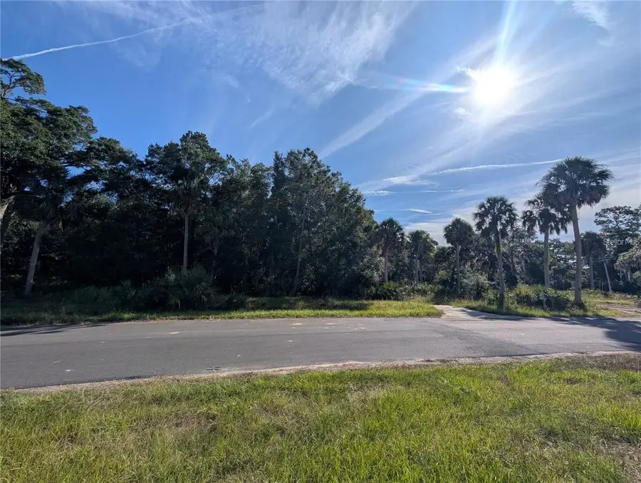 11009 N Withla Bluff Point, Inglis, FL 34449 - #3