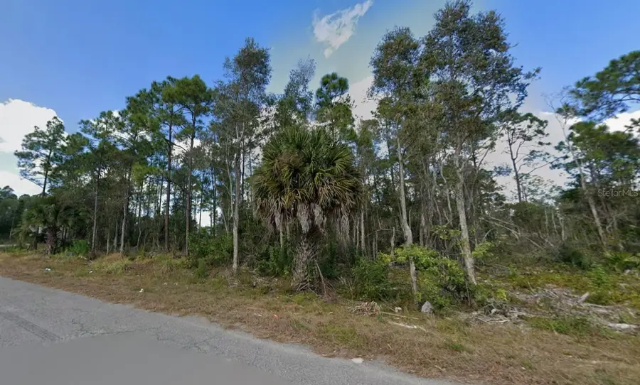 453 Conlee Street, Lehigh Acres, FL 33974 - #3
