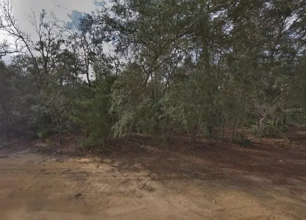 David Avenue, INTERLACHEN, FL 32148