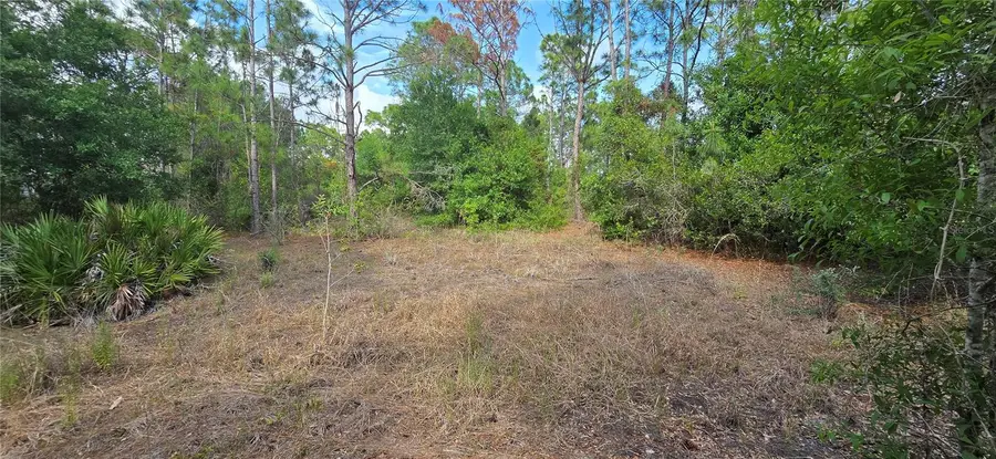 27402 Mandalay Drive, Punta Gorda, FL 33955 - #2