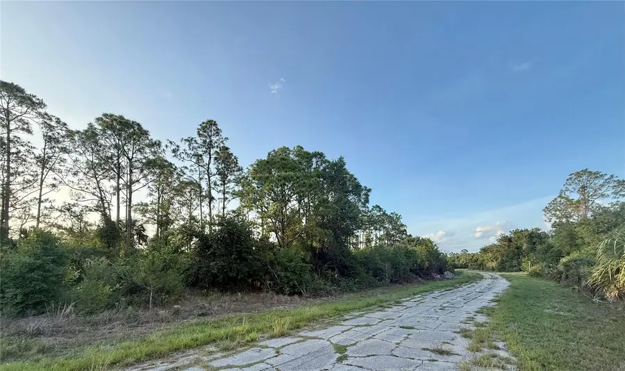 Lot 24 Hinshaw Avenue, North Port, FL 34288 - #3