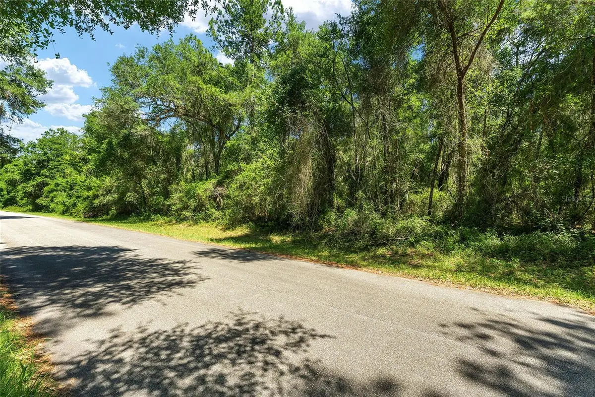 905 E Abend Drive, Dunnellon, FL 34434 - #1