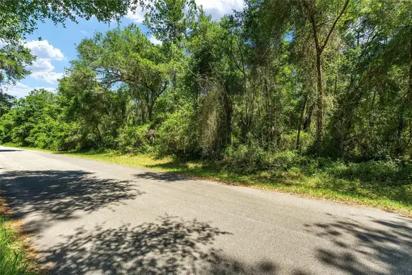 905 E Abend Drive, DUNNELLON, FL 34434