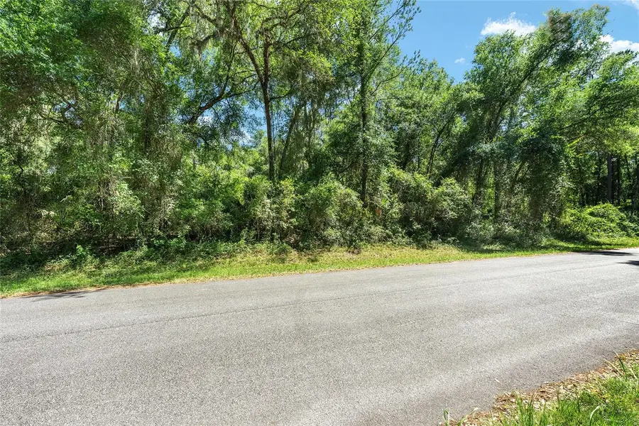 905 E Abend Drive, Dunnellon, FL 34434 - #2