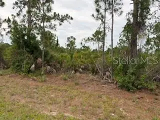 12141 Mc Elroy Avenue, Port Charlotte, FL 33981 - #2
