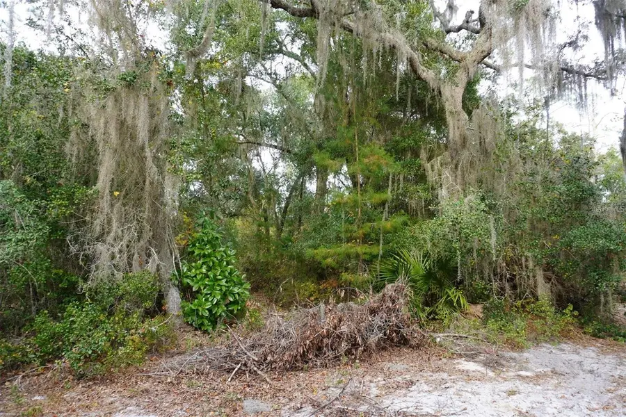 West Parkway, Deland, FL 32724 - #3