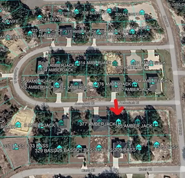 377 Amberjack Court, KISSIMMEE, FL 34759