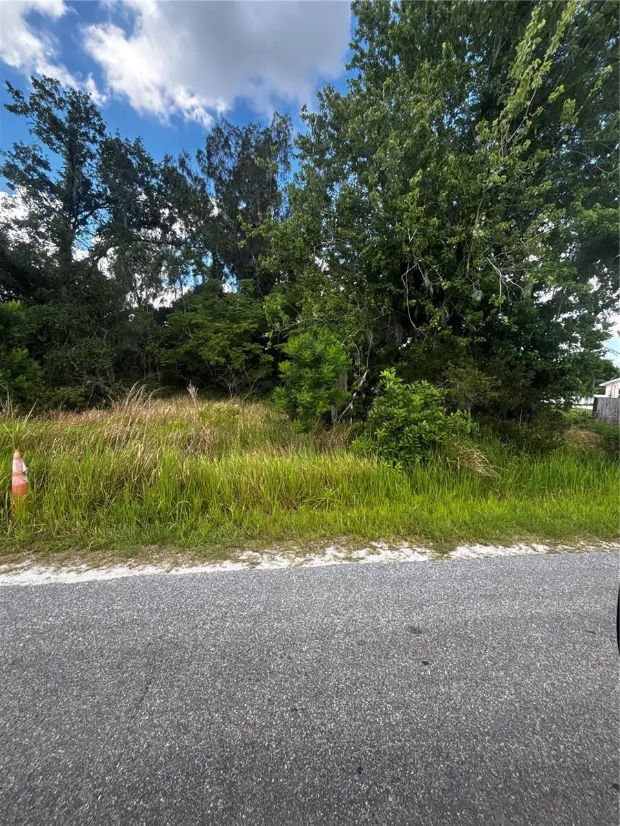 Lee Street, Bowling Green, FL 33834 - #1