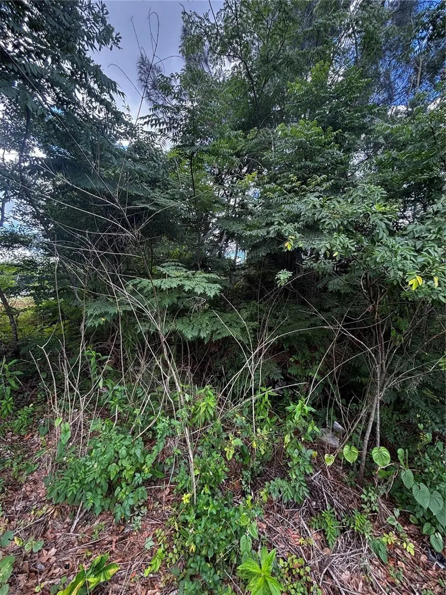 Lee Street, Bowling Green, FL 33834 - #2