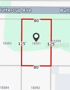 18391 Buttercup Avenue, Port Charlotte, FL 33954 - #3