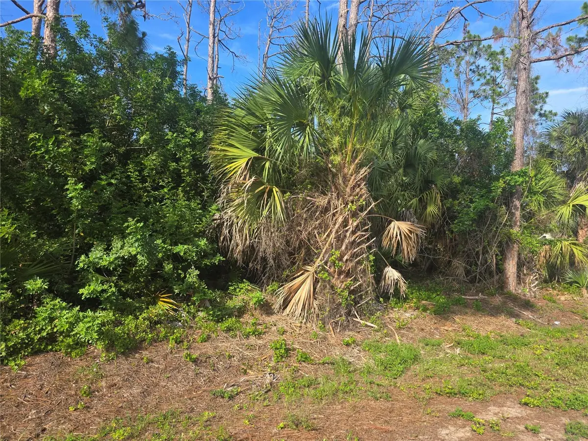 Pronto Lane, North Port, FL 34286 - #1