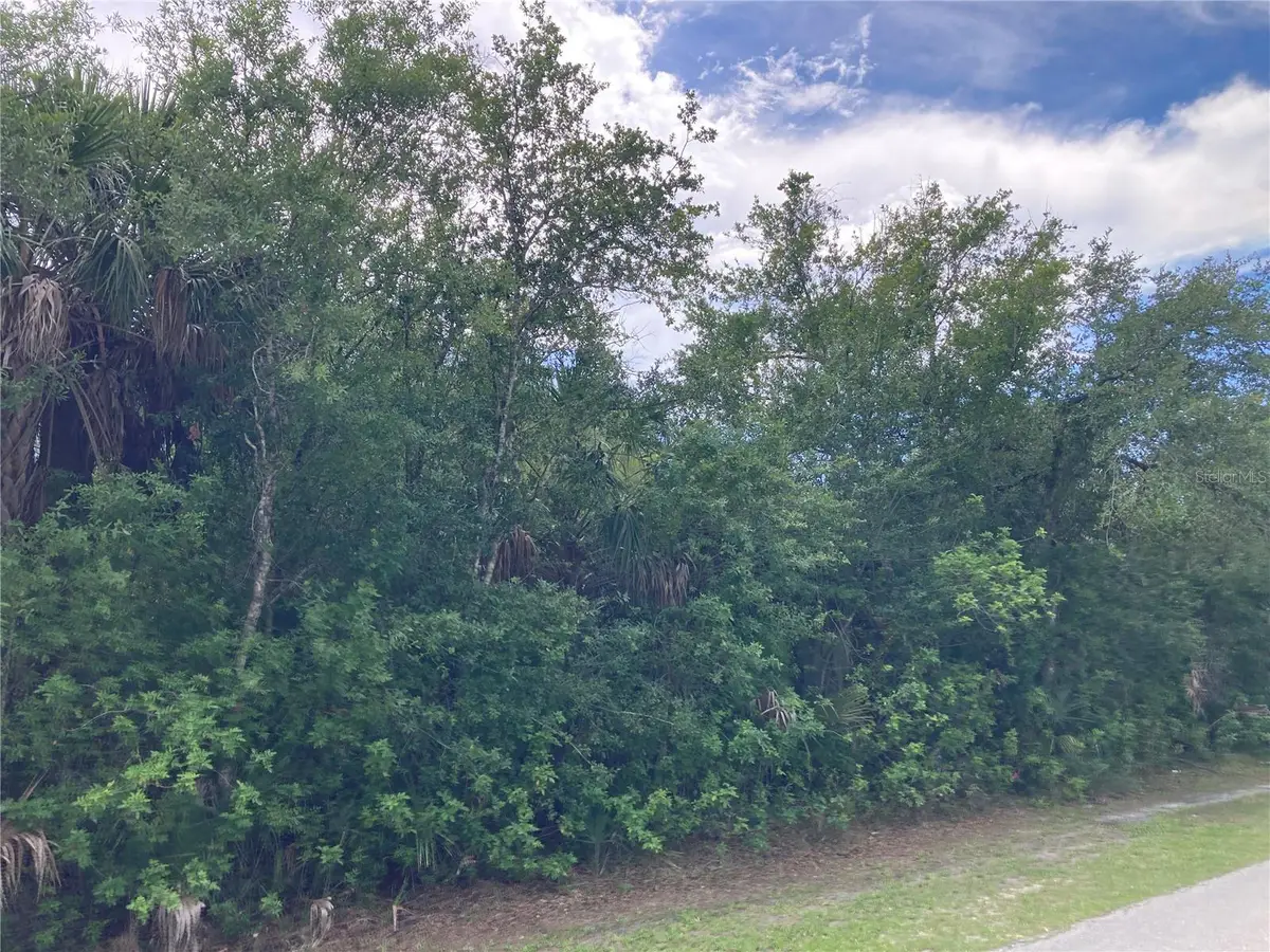 22505 Esplanade Avenue N, Port Charlotte, FL 33954 - #1