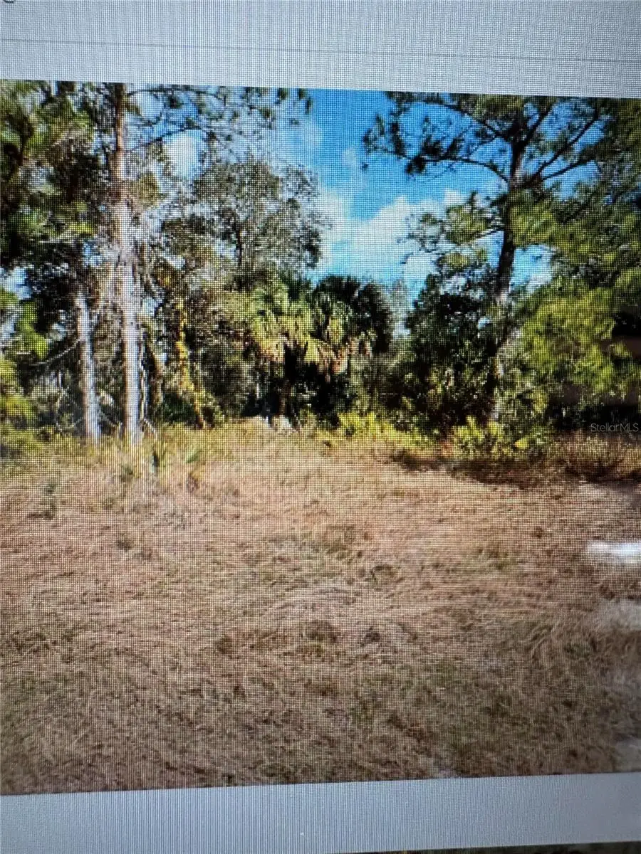 Mattox Circle, North Port, FL 34288 - #2