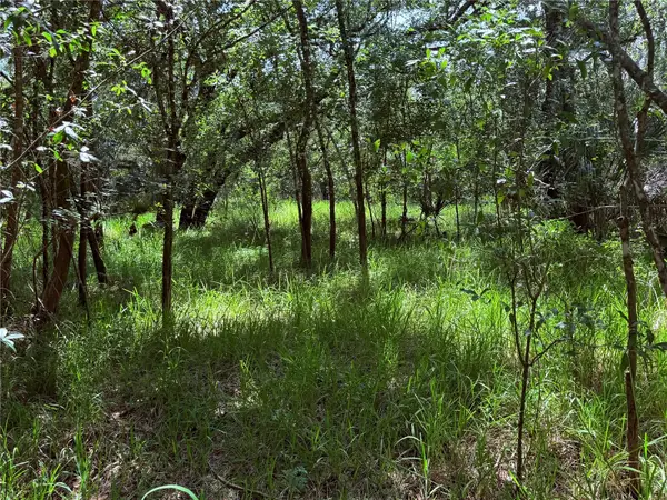 Ne River Ridge Avenue, ARCADIA, FL 34266