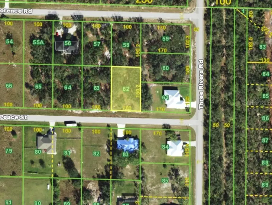 31122 Peace Street, Punta Gorda, FL 33982 - #3