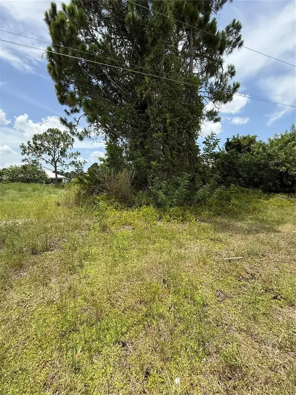 1112 Hallmark Avenue, LEHIGH ACRES, FL 33974