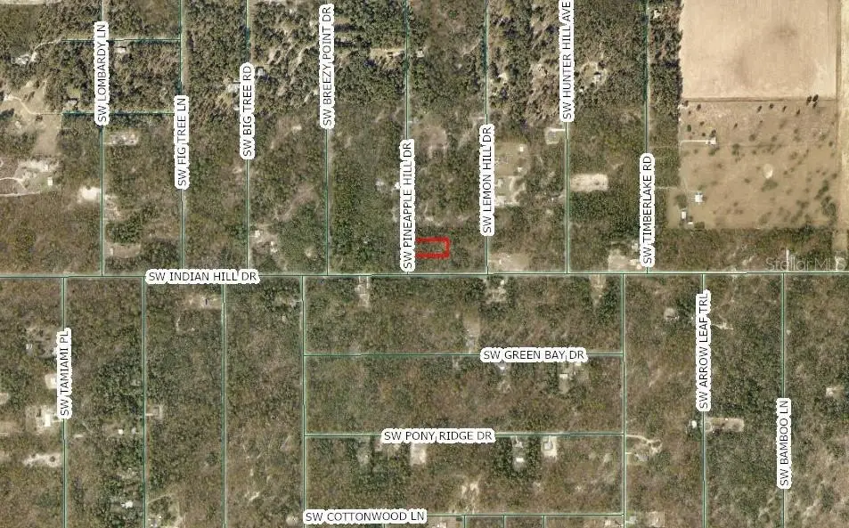 SW Pineapple Hill Drive, Dunnellon, FL 34431 - #1