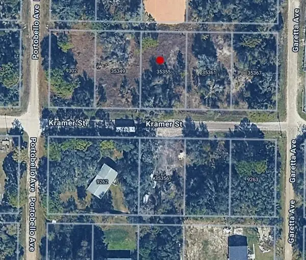 35355 Kramer Street, WEBSTER, FL 33597