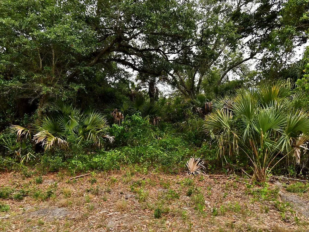 Lot 18 Dunsmuir Road, North Port, FL 34288 - #1