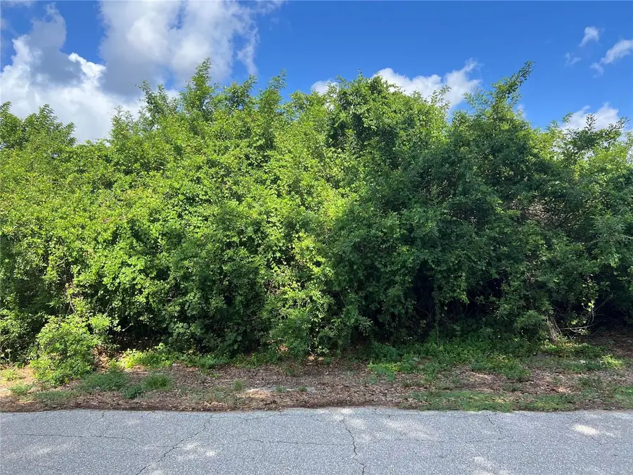15533 Tilden Avenue, Port Charlotte, FL 33953 - #2