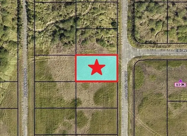 2524 Adonis Avenue Sw, Palm Bay, FL 32908 - #1
