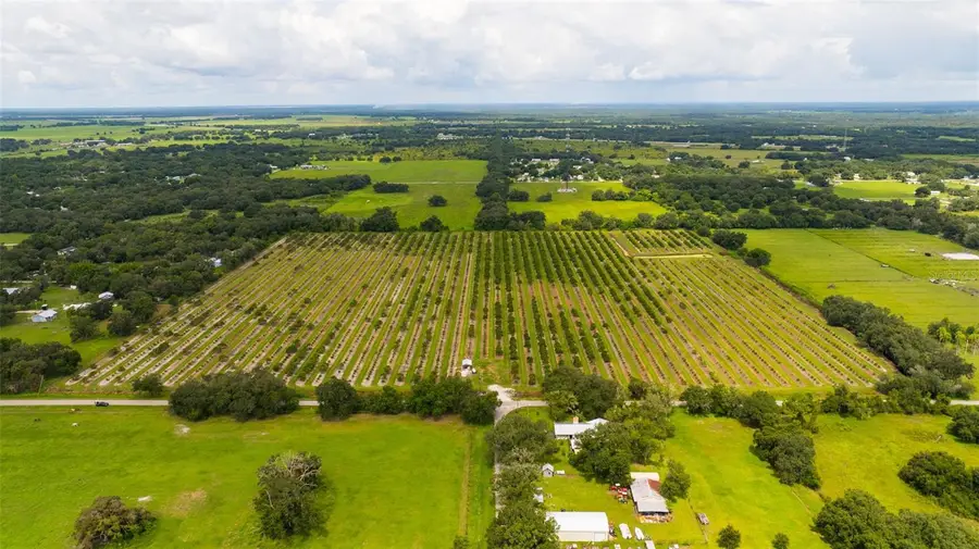 Sw Carlton Avenue, Arcadia, FL 34266 - #2