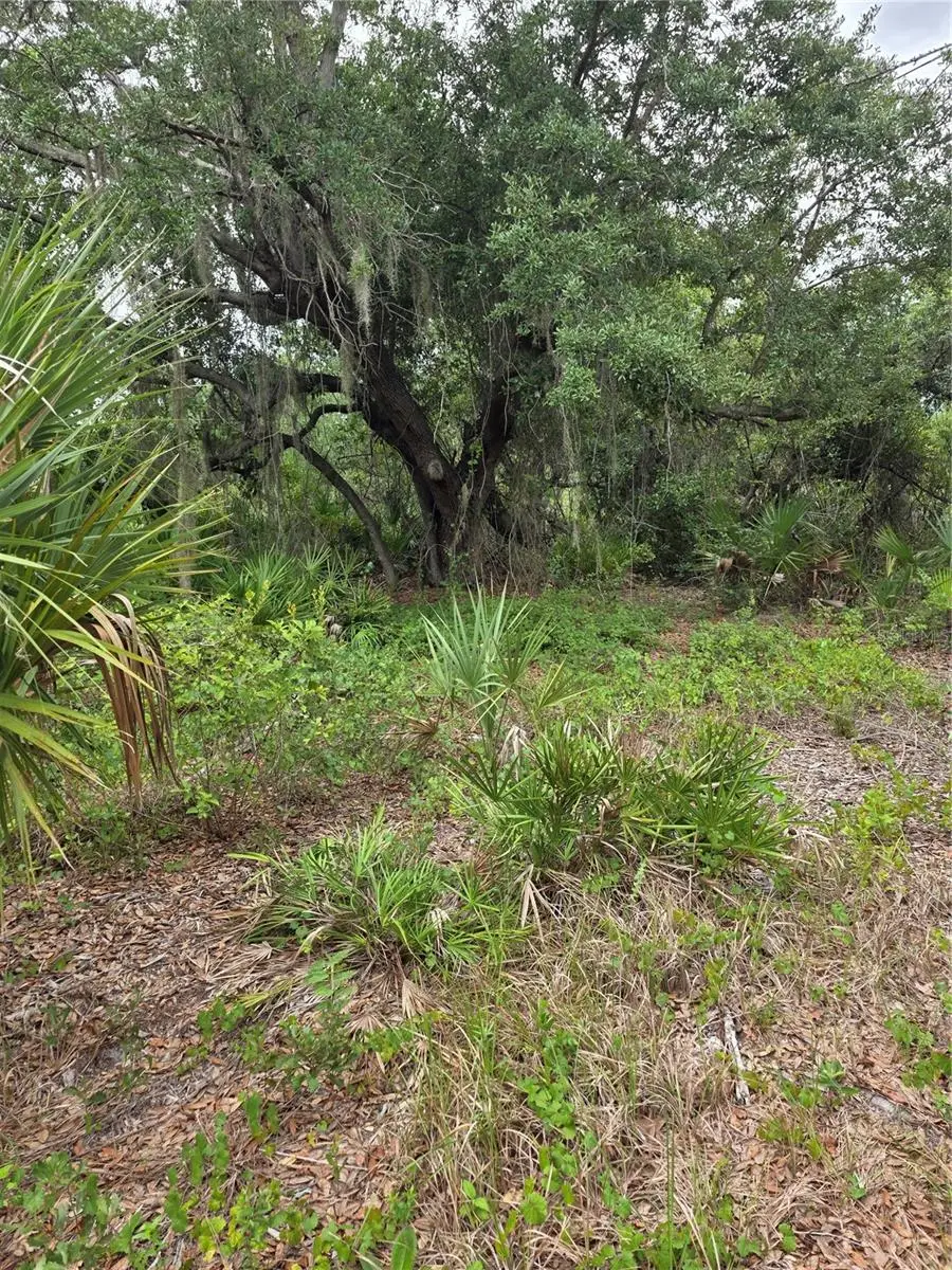 2354 Marcella Terrace, Punta Gorda, FL 33983 - #3