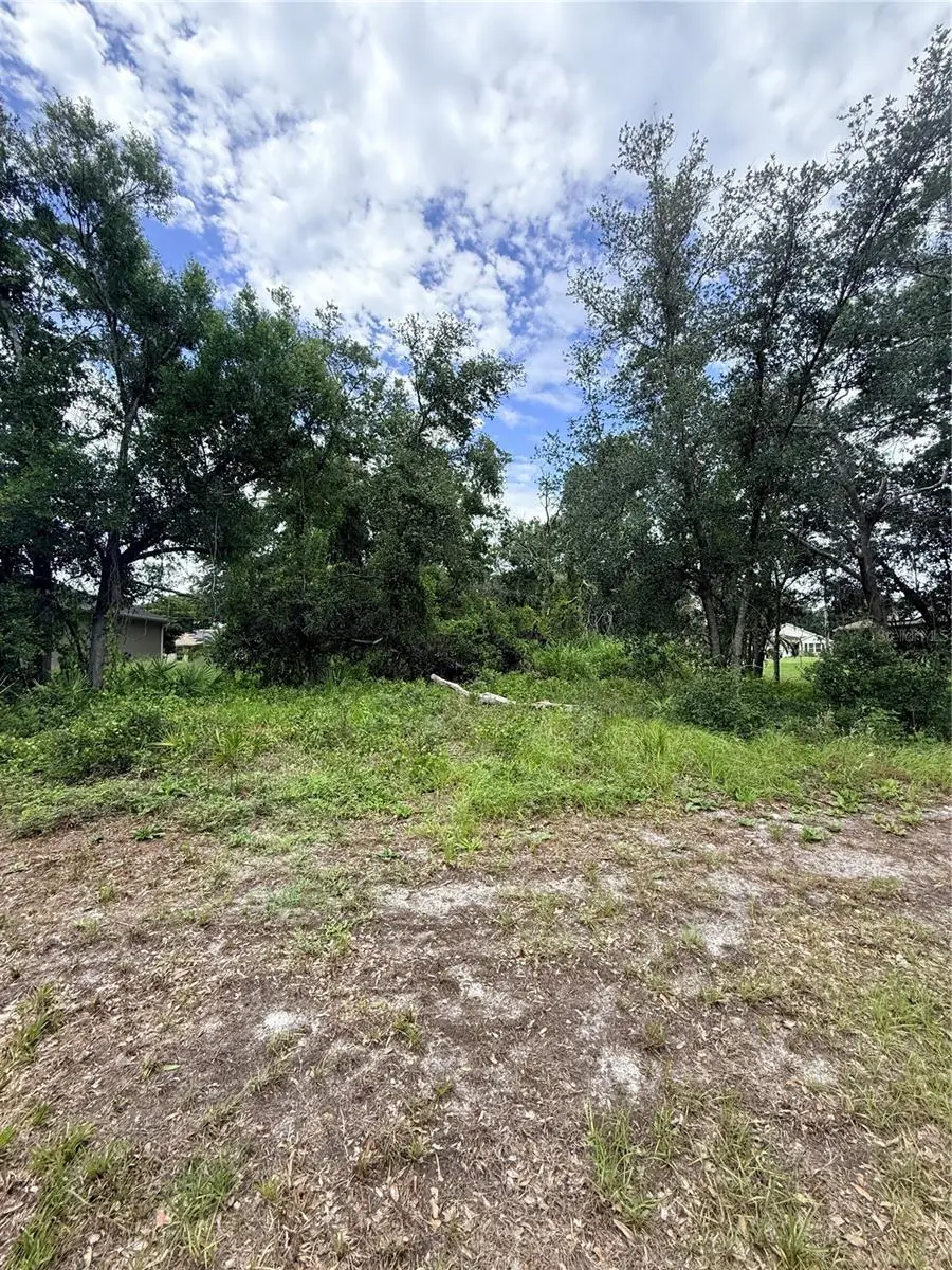 574 Encarnacion Street, Punta Gorda, FL 33983 - #2
