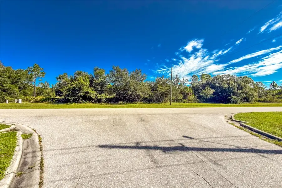16550 Prairie Creek Boulevard, Punta Gorda, FL 33982 - #3