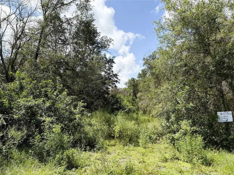 6423 NE Thomas Drive, Arcadia, FL 34266 - #2