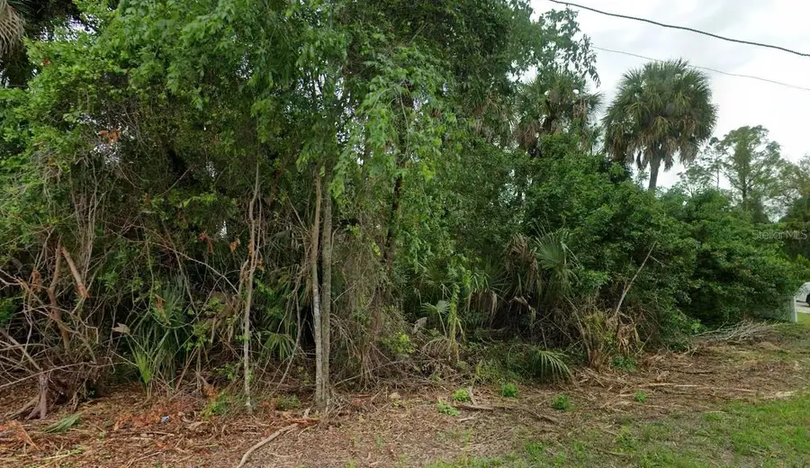 Caladium Road, North Port, FL 34288 - #3
