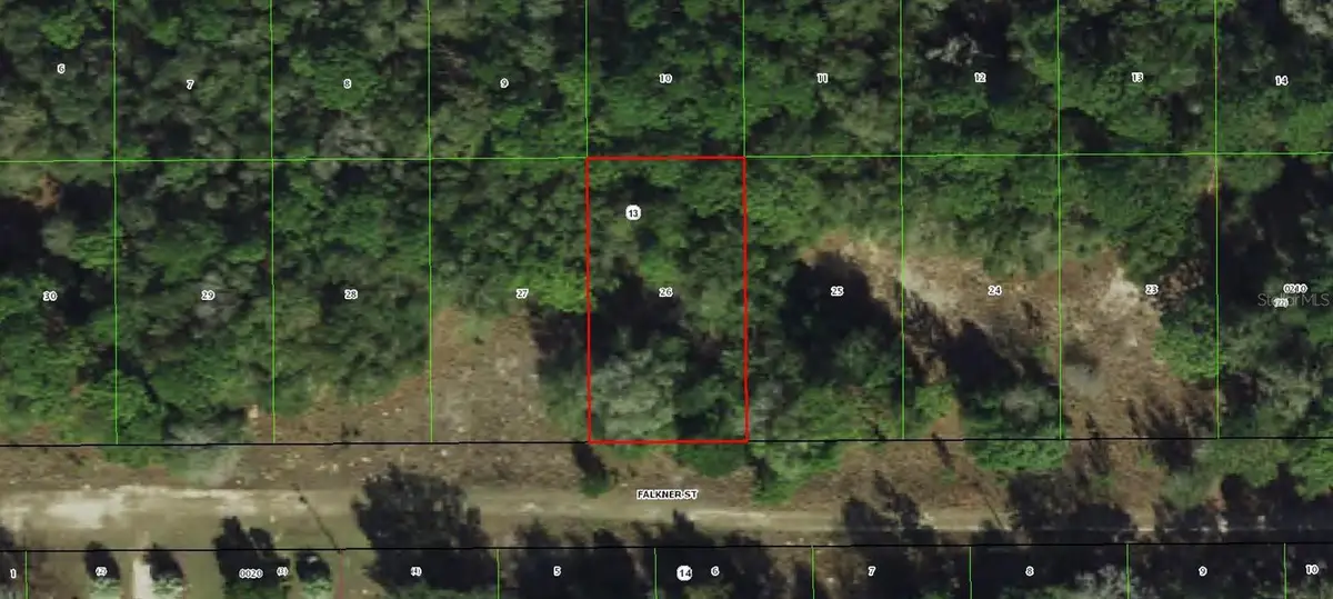 2006 Falkner Street, Inverness, FL 34453 - #1