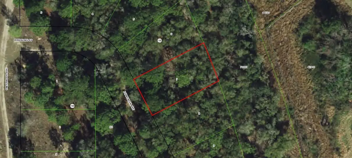 1006 Ferncreek Avenue, Inverness, FL 34453 - #1