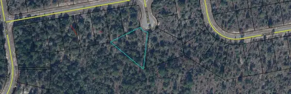 0000 Brewton Drive, CHIPLEY, FL 32428