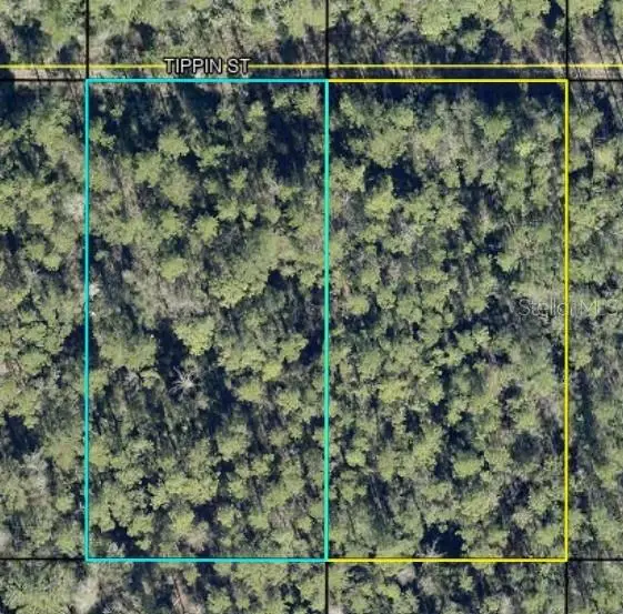 Tract 596 Tippin St, Hastings, FL 32145 - #1