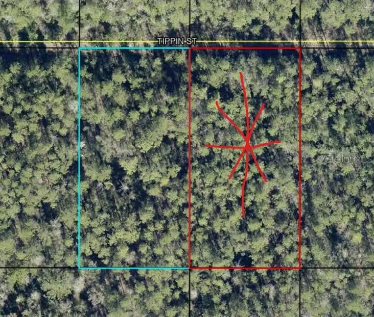 Tract 597 Tippin St, Hastings, FL 32145 - #1