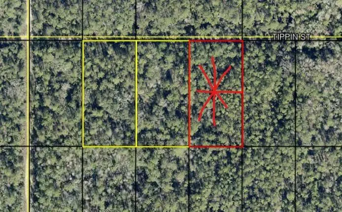 tract 603 Tippin St, Hastings, FL 32145 - #1