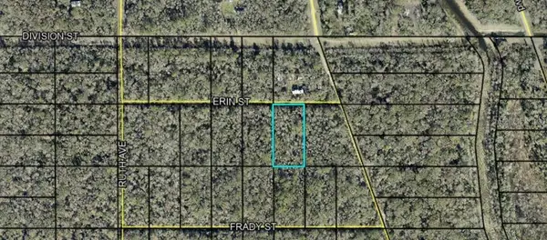 Tract 159 Erin St, HASTINGS, FL 32145