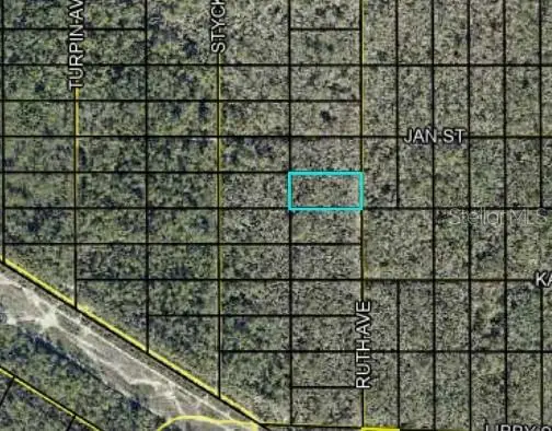 Track 189 Ruth Ave, Hastings, FL 32145 - #1