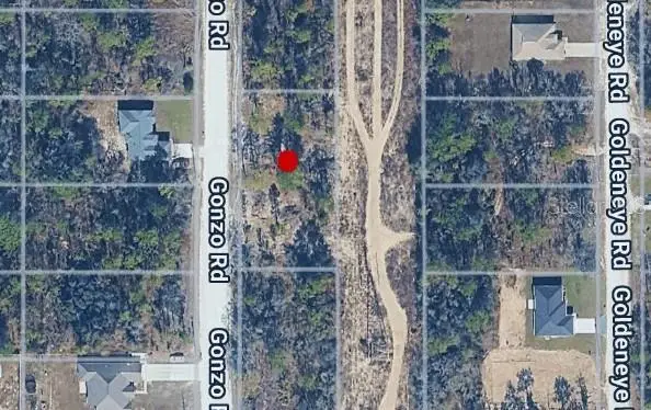 14498 Gonzo Road, WEEKI WACHEE, FL 34614