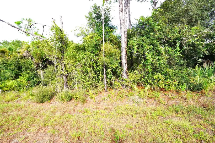 Baynes Road, North Port, FL 34288 - #2