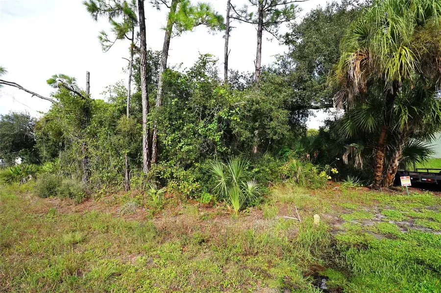Baynes Road, North Port, FL 34288 - #3