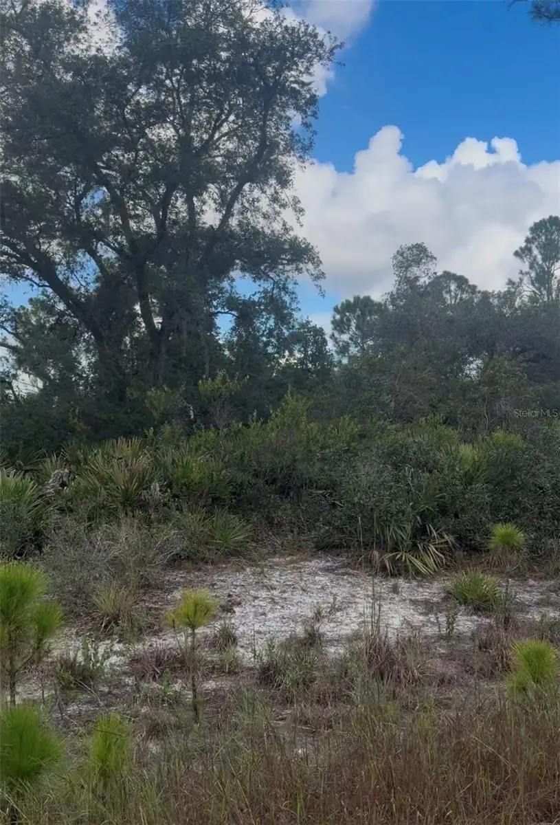 3513 Turin Street, Lake Placid, FL 33852 - #1