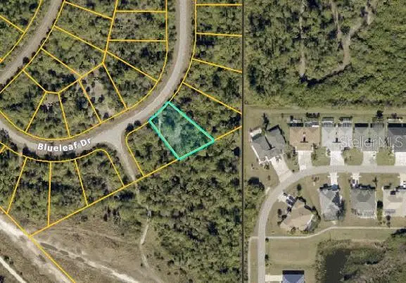 Blueleaf Drive, North Port, FL 34288 - #1