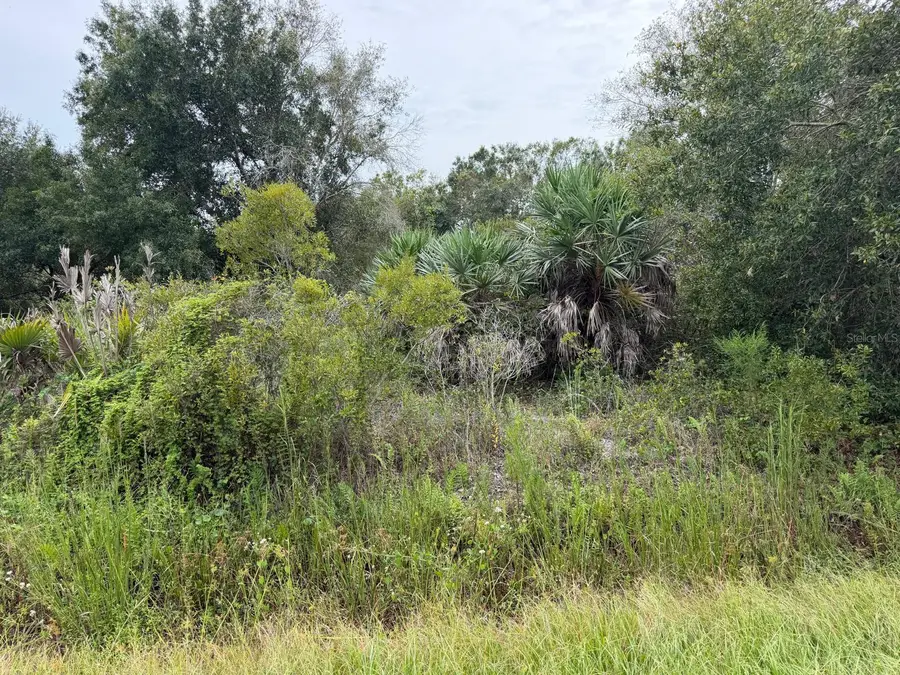 14616 NW 260th Street, Okeechobee, FL 34972 - #2