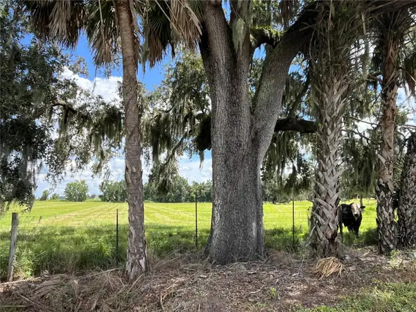Johns Road, WAUCHULA, FL 33873